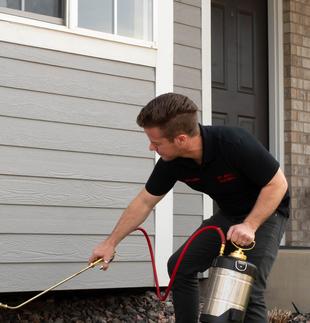 Pest control technician applying exterior treatment along a Denver-area home foundation