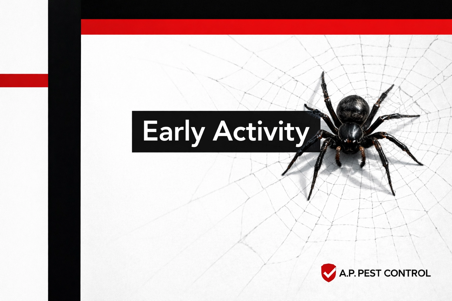 Realistic spider graphic illustrating the 2026 early pest activity surge in Denver for home protection.