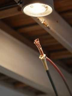 Close-up of electrical wiring with realistic rodent gnaw damage